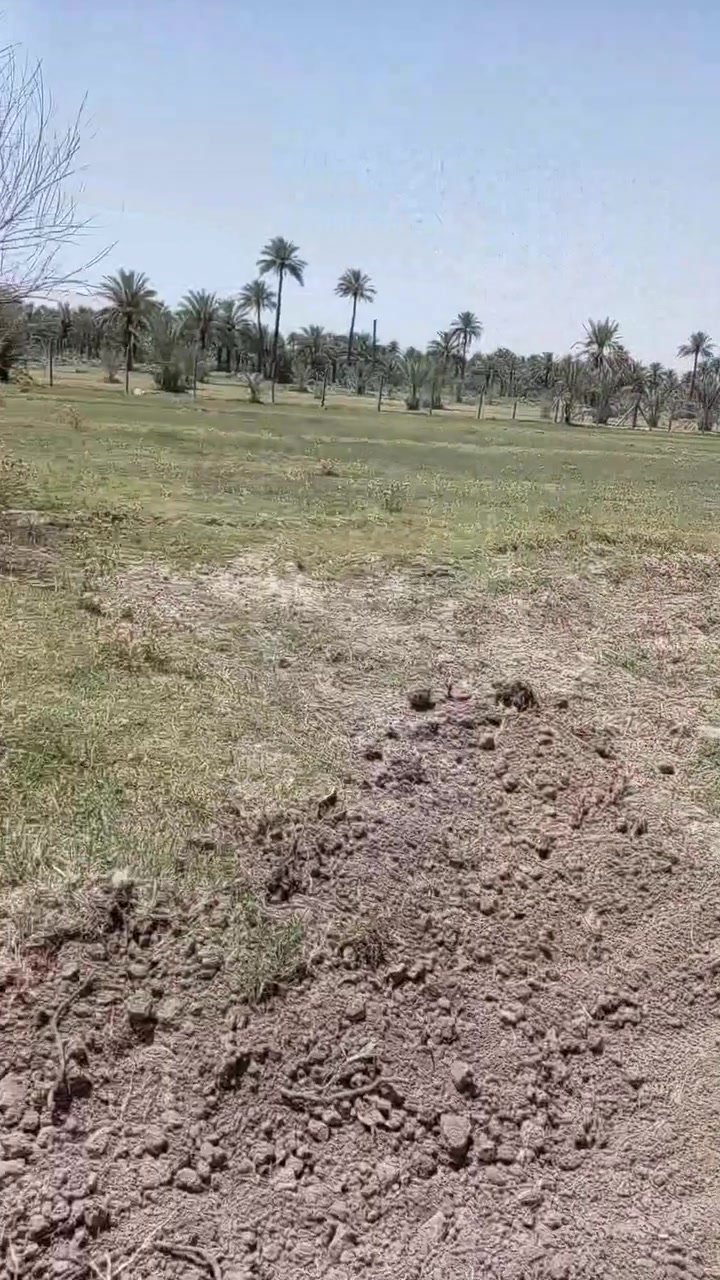 السلام عليكم ارض زراعية للبيع مساحه دونمين ونص سند 25 كربلاء طوريج الحولي التفاصيل بالفيديو للاستفسار الاتصال على الرقم ***********

