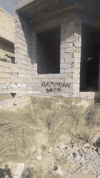 هيكل • ١٣٠م • حي العروبه بعقوبه