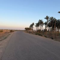 ٤ دونم • واجهة ٤٠م • على الشط