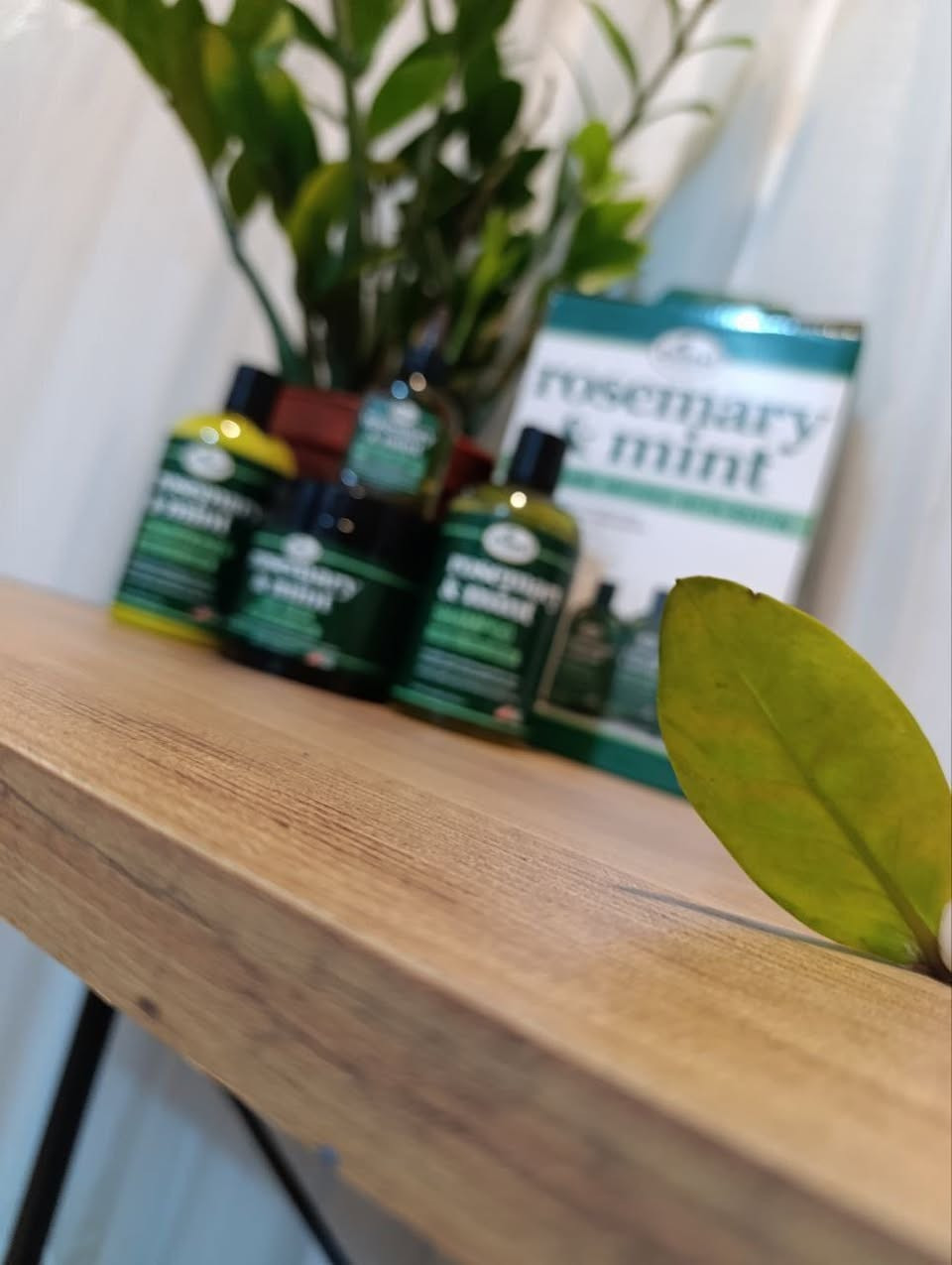 أطلبي البكج وأختاري هديتـج من المتجر🛍 🎁😍 ( ديرمارولـر أو مشط توزيع أو فرشـة تدليك أو خاولي كوري )  
💚 بكج روز ماري والنعناع rosemary & mint الأكثـر طلبآ الأصدار الجديد وبسعر خورافي داخل بوكس 🫢
يحتوي على خلاصة الروزماري (اكليل الجبل) والنعناع والبايوتين خصم 50% 👍🏻بكج ميلي 
بـكـج يتـكون من 4 قطـع  : 
🍃 شامبو 354ml
🍃 بلسم 354ml
🍃ماسك للشعر 340ml
🍃 سيروم اكليل الجبل 75ml
ينظف الشعر بشكل قوي يعالج تساقط الشعر 
يعالج القشره يعالج الحكه يقوي الشعر
يكثف الشعريعمل على انبات الشعر يعالج التقصف والتكسرمناسب لجميع انواع الشعر الدهني والجاف " الأمريكي الأصلي 💀


**إذا كنت صاحب هذا الإعلان وتريد حذفه لأي سبب، رجاءا أرسل رسالة إلى الدعم الفني**