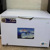 مجمدة فول تجميد • جديدة • نضيفه