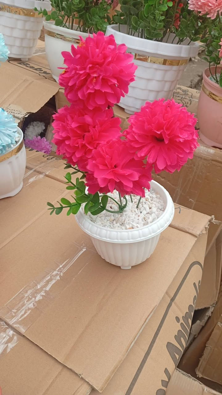 العنوان وزيريه خلف البازيخانه محلات دراجي جمله فقط ***********
