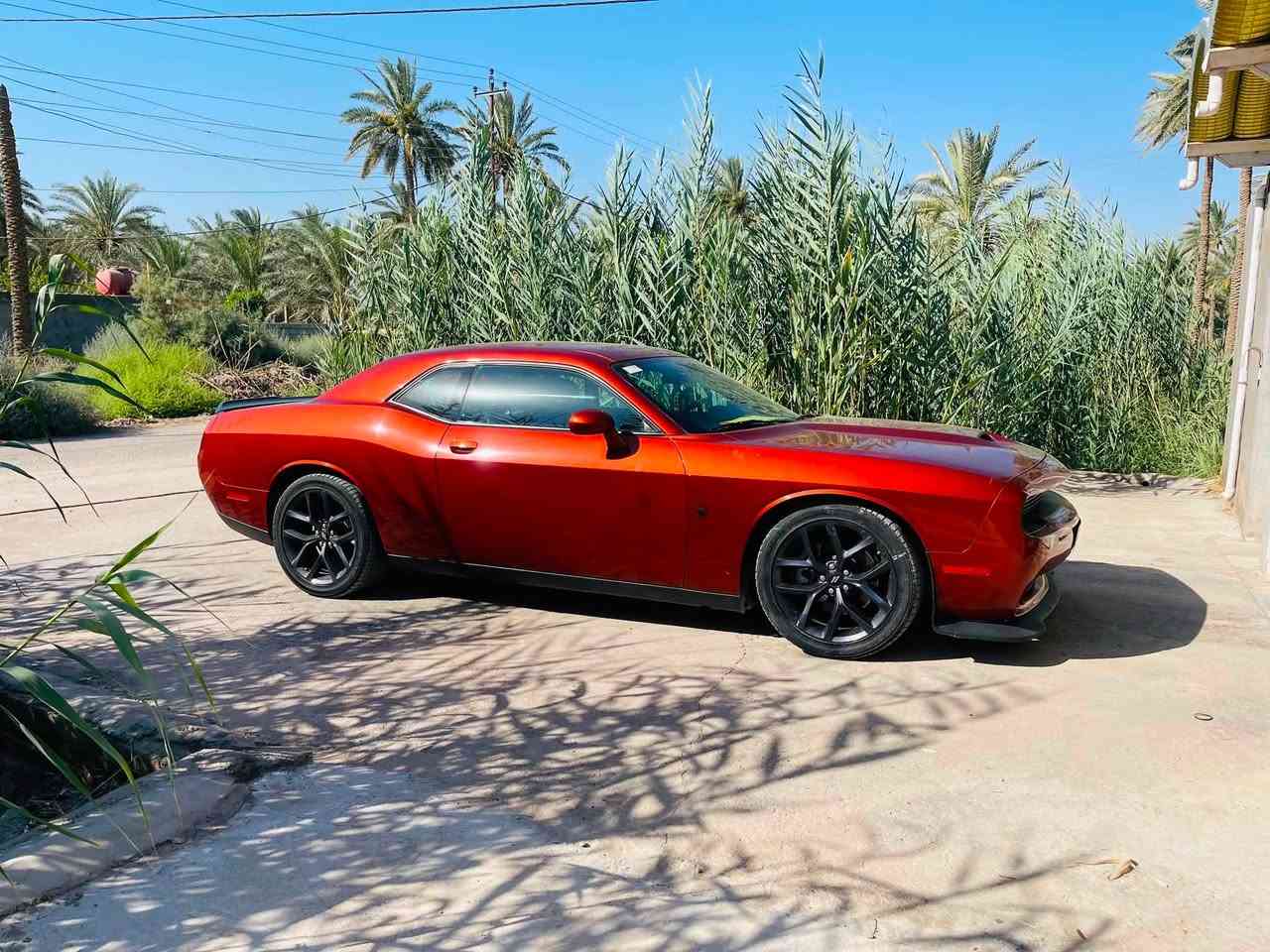 جالنجر 2023 GT
المسافه المقطوعه 20 الف ميل
قبل سبوع رقمتها  باسمي
دهن جديد
بانزين محسن
وضع زيرو السياره
تايرات شركه
لون مشمشي مميز
لوحه فنيه السياره
ماكو اي نقص
حادث جاملغ وبنيد فقط بدون دواخ بدون شواصي بدون لغود بشرط كفاله
السعر ١٨٨ وبي مجال
مكاني بابل
0783830835


**إذا كنت صاحب هذا الإعلان وتريد حذفه لأي سبب، رجاءا أرسل رسالة إلى الدعم الفني**