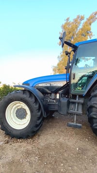 استيراد • TM165 • الفتيس الكبير