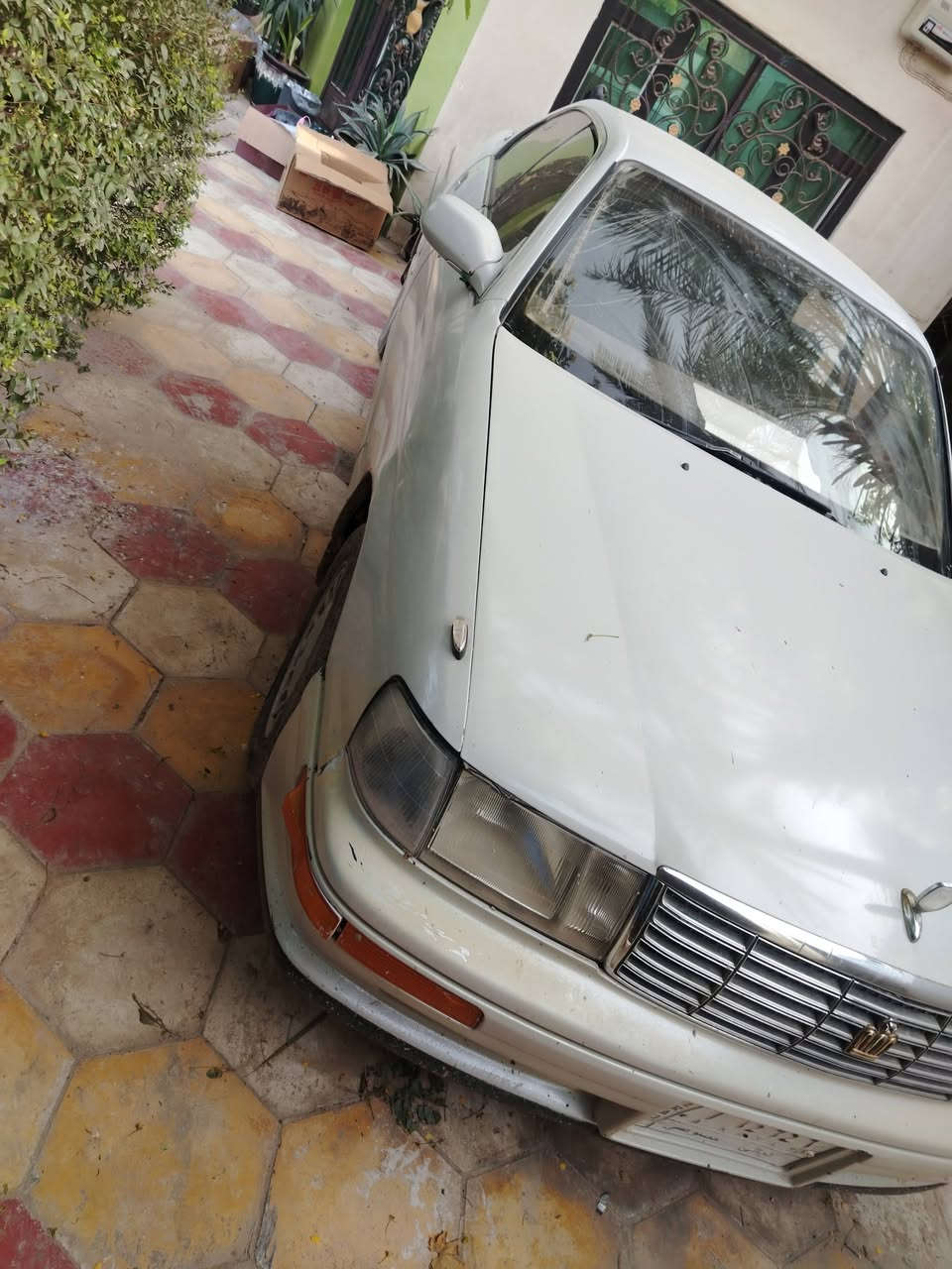 بطه رقم ديالى تحويل مباشر بسمي سنويه نافذه كفاله كص ونقل
ضربه جاملغ خلفي
مكينه كير جدد
داخل دشبول تعبان
تايرات حلوات
مكان بابل
***********
