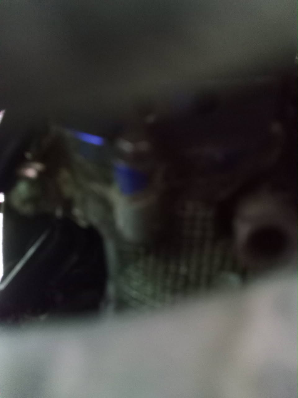 سكنس نثيه للبيع او امراوس بماكس وانطي فرق
الدراجه ما بيها نواقص بس طلعت بيها مسافه 
وطفت ما ادري شبيها 
ابيع كوم حديد 
السعر 350وبيها مجال
***********
بغداد البلديات
