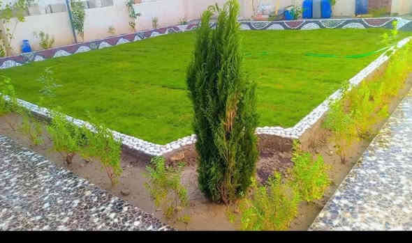 حسن لديكور***********
