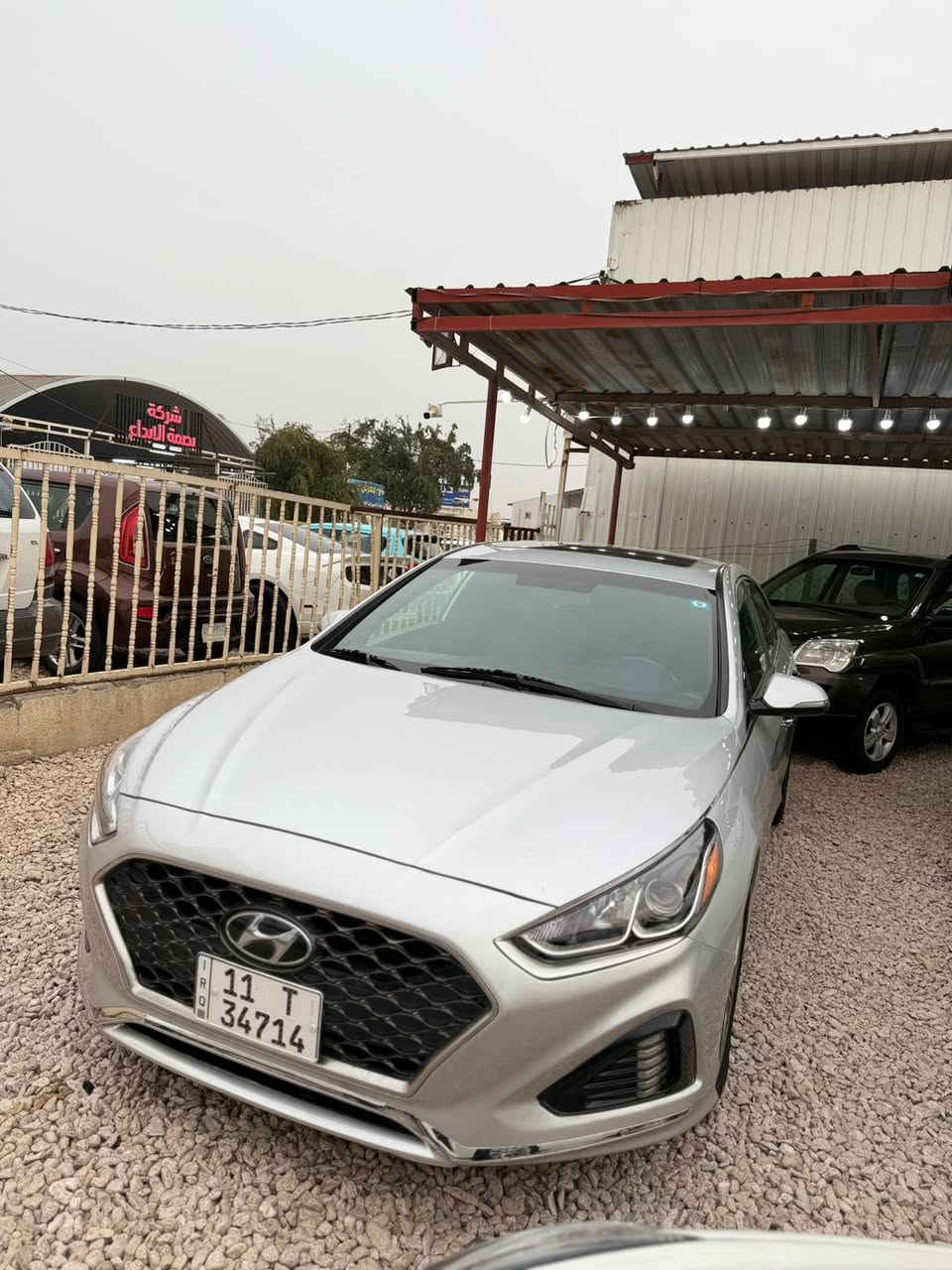 ياالله
سلام عليكم 
سوناتا للبيع
2018
رقم بغداد بسمي
كفاله عامه من كلشي
لا صبغ لا فتح 
محرك كير كفاله حته من الفتح
فول مواصفات 
ماشي 100 الف فقط
فتحه 
بصمه 
شاشه 
رادار
داخل جلد
كشن تدفئه 
بعد هواي مواصفات 
مكان كربلاء 
السعر 153
***********
ملاحظه لسياره وضع شركه شرط كلين كلين
