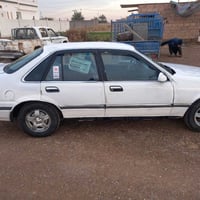 برنس فراشة • ١٩٩٦ • جزيرة رمادي