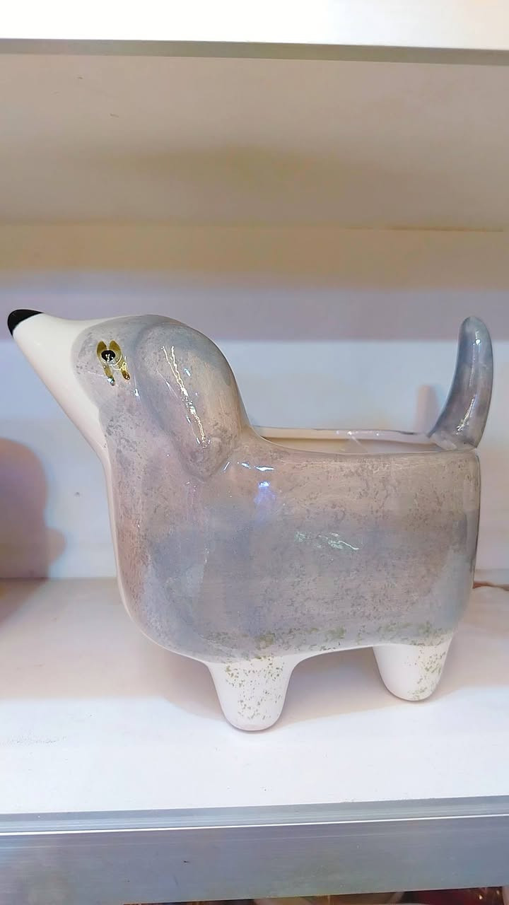 انواع التحفيات
العنوان الكوت شارع الأطباء فرع صيدلية بيروت اكسسوارات النبأ #واتساب*********** #هاتف_المحل*********** خدمة توصيل لكافة انحاء العراق 🇮🇶 وبأسعار تنافسية 🫰 وباحدث الموديلات
