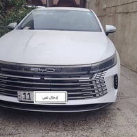 بيع امراوس بالنتره مكفوله زيره ماشيه اقل من ٣٠٠٠ للاتصال ٠٧٧٠٣٠٠١٩٧٤ ب...