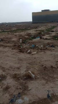 شارع احمد الوائلي • مجاور اسواق الاخوين • ٢٠٠م