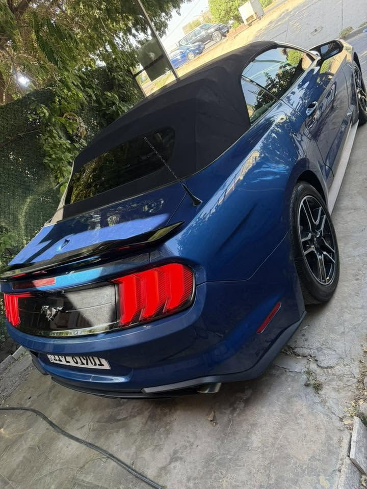 عندي موستنك ٢٠٢٣ جديدة كشف فول بريميوم ١/١ رقم بغداد
بيه طخات نصبغت قطع بيه كير محرك كفاله ٤ سلندر تيربو 
رايد كورلا هايبرد 
مراوس *********** الجاد بلمراوس يتفضل واتساب 
ناشر صور طخات البيه أبيع حزام
