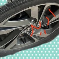 النترا • ويل عادي • مراوس بويل كب