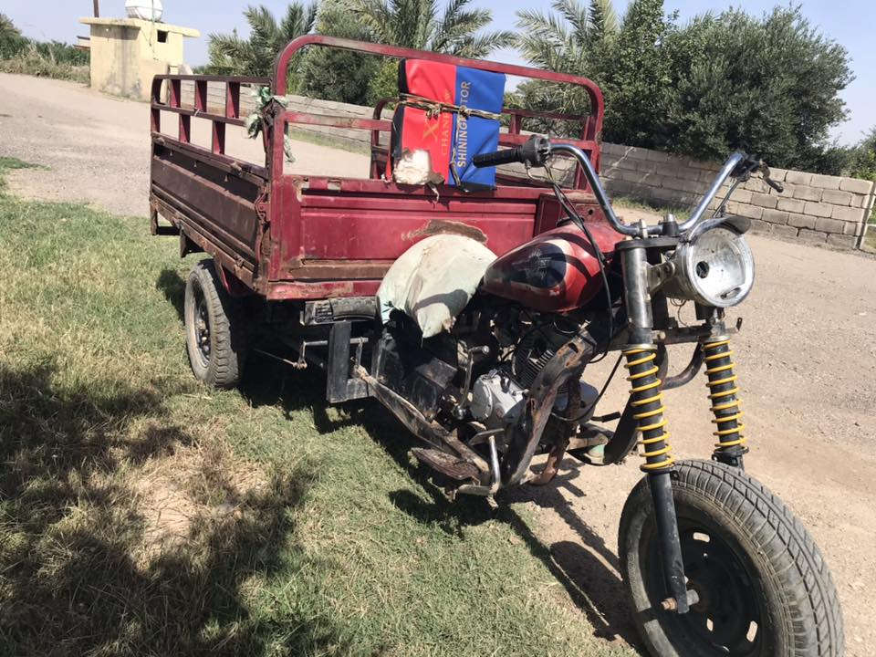 ستوتة للبيع شهربان سعر ٤٥٠ وبيه مجال ***********

