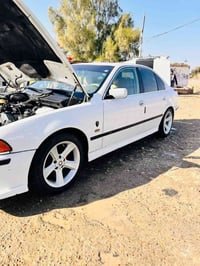 صقر • ١٩٩٦ • رقم سليمانيه