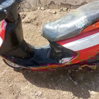 فراشة • شوملي