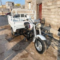 ستوته دايون • مديل 2016 • كفاله