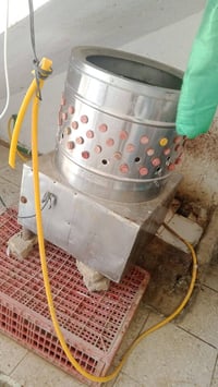 بابل ابو خستاوي • غراض محل دجاج • مذبح