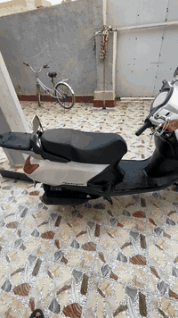 سلام عليكم 
دراجة سبيسي ياباني للبيع
مفتوحة مرة وحدة عندي يعني اني فاتحه 
كفرات بلاد والختم كما موضح بالصورة 
دراجة شلعة ومعدل فول 
نعومة تجي وتفحص النعومة 
كله شغالة من سلف وهندر وكهربائيات
مكانه كوت الشهداء 
السعر 650 وبيه مجال حگ الجية
رقمي ***********
الاسيا ***********
