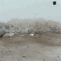 الحمزه الشرقي • ٣٠٠م • طابو زراعي