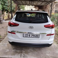 فول • جلد • ٢٠٢٠