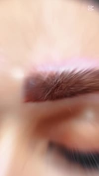 تاتو • عروض • بأنواعه