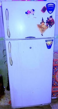 ثلاجة • مجمدة • ١٧٥ل