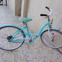 حجم ٢٤ • جديد • القوسيات