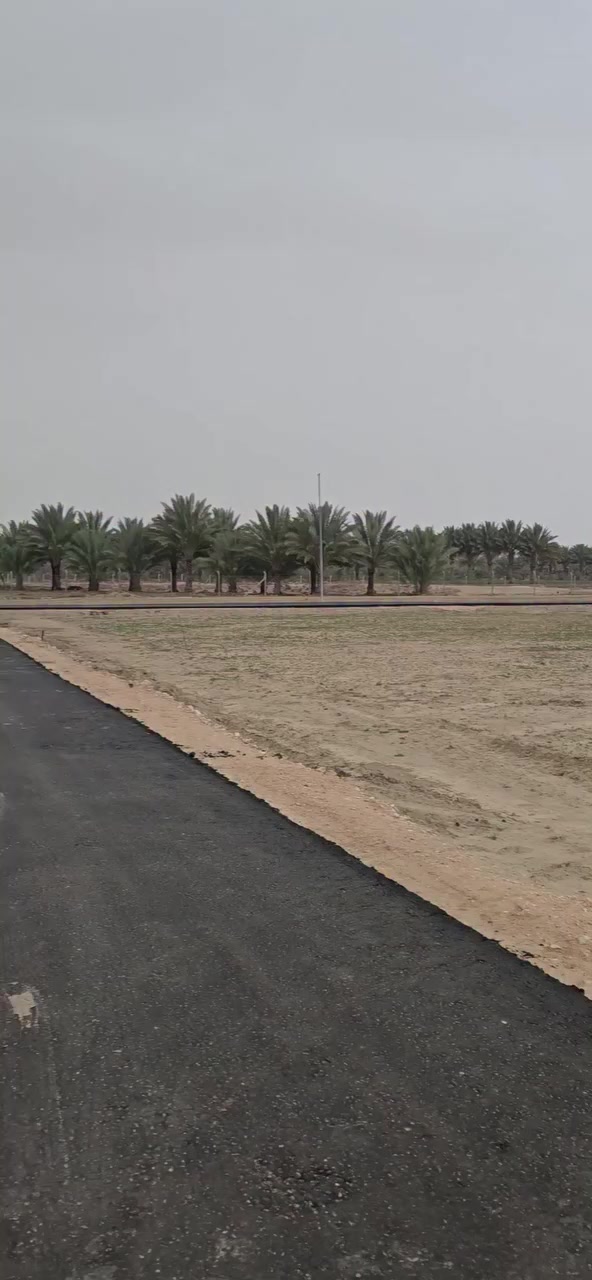 للبيع 1000 م ركن
طابو زراعي سند ٢٥ 
حله / قرب مزار العلويه شريفه ع 
 ***********
