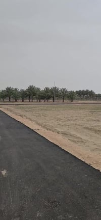 ١٠٠٠م • طابو زراعي • حله