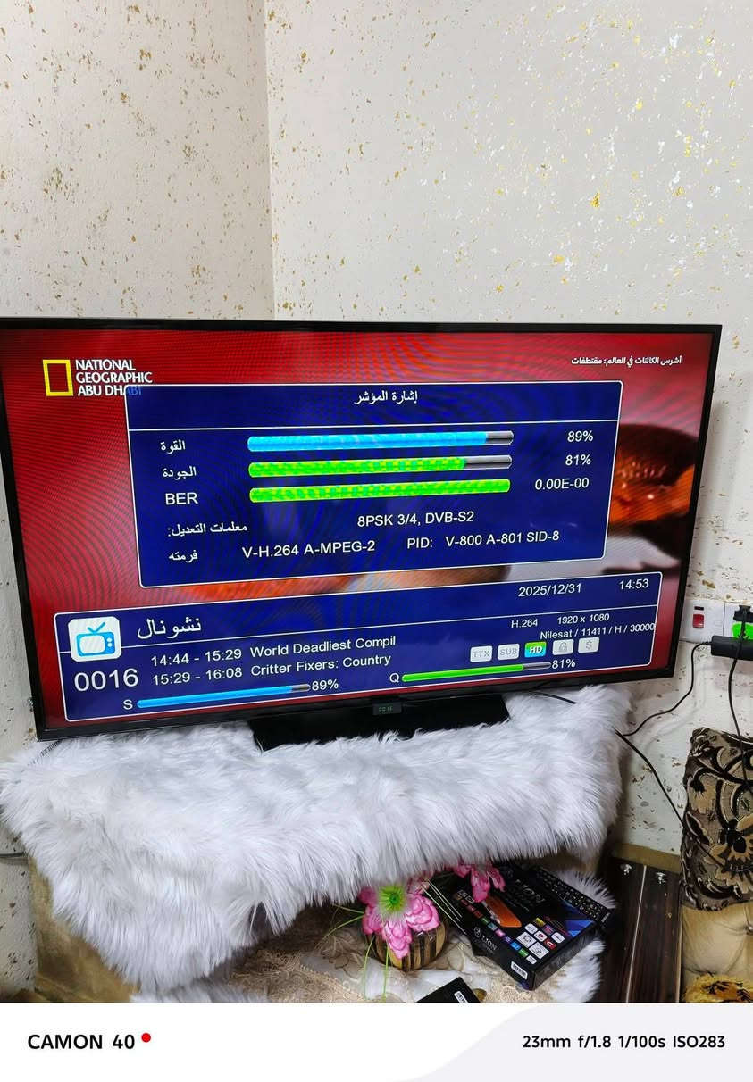 🔧📺 تعبت من الستلايت واشارة ضعيفة  أو الشاشة مو بمكانها الصح او تريد تربطها بالحايط؟ خلّيها علينا!
احنا موجودين لأي بيت يحب يرتّب أموره ويعيش الراحة. 

📡 تنصيب ستلايت احترافي
  📡تنصيب منظومة لاقمار المجانيه الناقله جميع البطولات 
🖥️ تركيب الشاشات على الجدار بكل القياسات 
🎯 ضبط دقيق للترددات وأقوى إشارة
📟 تتوفر لدينا مواد من ريمونت و صحن وستلايت وايرات
🛠️ ترتيب الأسلاك وتنظيم كامل بدون فوضى

💬 احنا نجي لباب البيت، ما تحتاج تطلع أو تدوّخ روحك.

🟰العمل داخل الشطره وخارج الشطره

📞 للاستفسار ***********
📩 راسلنا عالخاص أو عالواتساب متى ما تحب.

🌟 خلي شغلك نظيف ومرتب... وإنت ارتاح .
