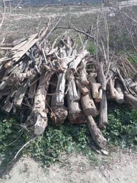 حطب مشكل • شارع عمشه