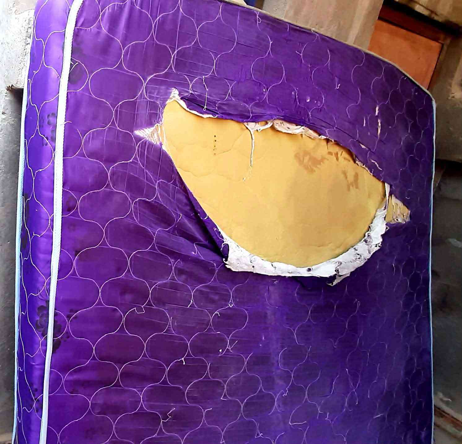 للبيع شاشه يحتاج الها تصليح حجمه 42 والميز ملته ودوشك  مكانهن البصره السيمر  للاستفسار خاص


**إذا كنت صاحب هذا الإعلان وتريد حذفه لأي سبب، رجاءا أرسل رسالة إلى الدعم الفني**