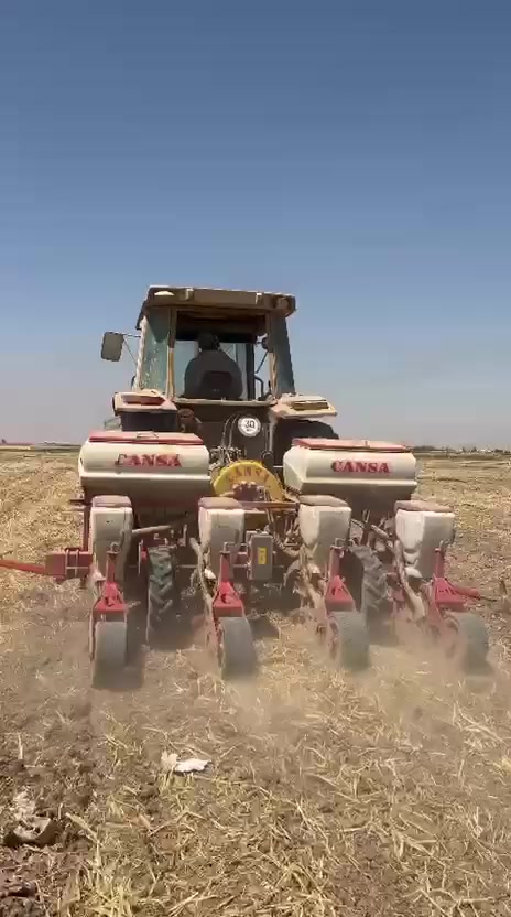 كادر متخصص في زراعة الذرة الصفراء قياسات مظبوطة خابر وتدلل هاتف *********** وجوه السوك وحياكم الله @
