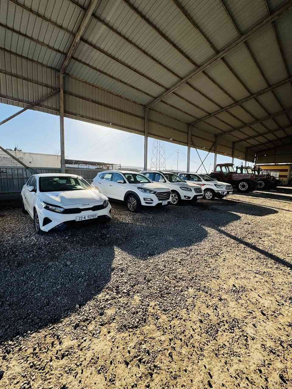 معرض رائد بجاي الشمري
واسط الزبيدية 
بيع أو مراوس 
حسين ***********
