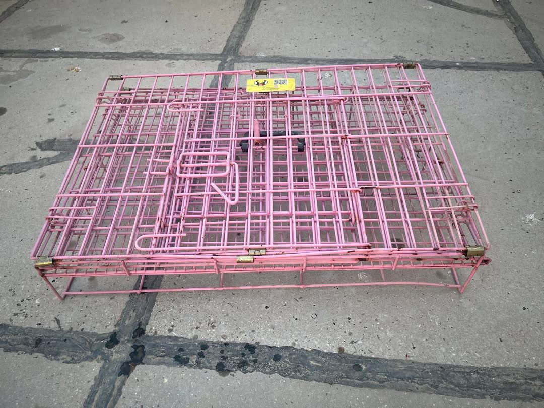 للبيع

يرهم قطط وكلاب 
مكاني بغداد مدينه الصدر


**إذا كنت صاحب هذا الإعلان وتريد حذفه لأي سبب، رجاءا أرسل رسالة إلى الدعم الفني**