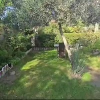 نص دونم • بيت ٢٠٠م • سند ٢٥