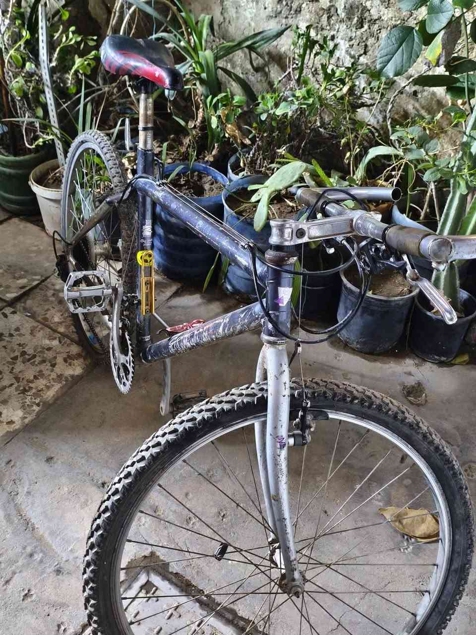 السلام عليكم بايسكل كنت حجم 26 جبلي كيمو البريك الامامي شغال والبريك الخلفي مو شغال لكيوره شغالات البايسكل الالمنيوم وليس حديد السعر 40 وبي مجال الرقم *********** واتساب تواصل موجود
