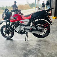 بوكسر جبلي • ٢١شهر • بعقوبه ديالى