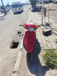 ساسوكي رياضي • معدل • شلعه