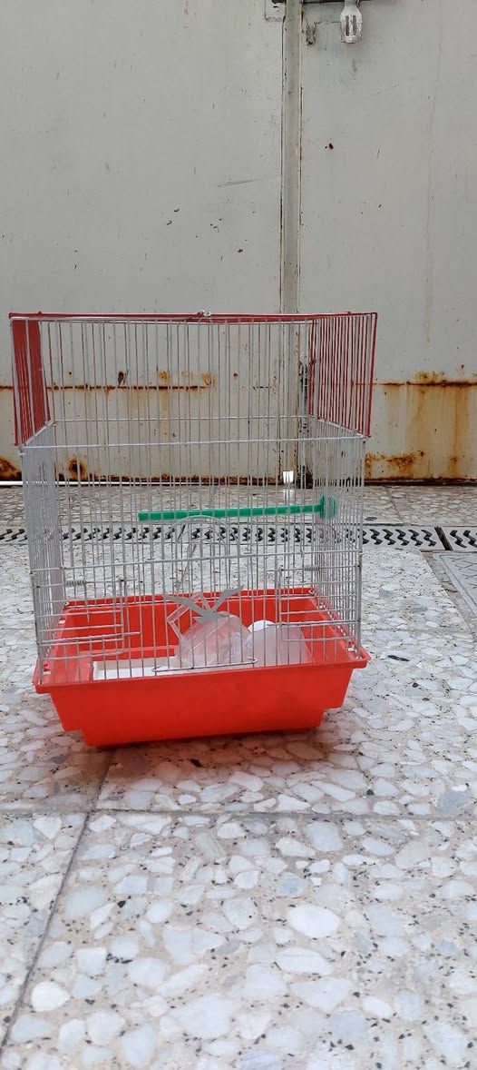 اقفاص نظيفه جدا وكاملات  ب ٦٥


**إذا كنت صاحب هذا الإعلان وتريد حذفه لأي سبب، رجاءا أرسل رسالة إلى الدعم الفني**