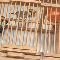 فحل • بدون قفص • حي الاعلام البياع