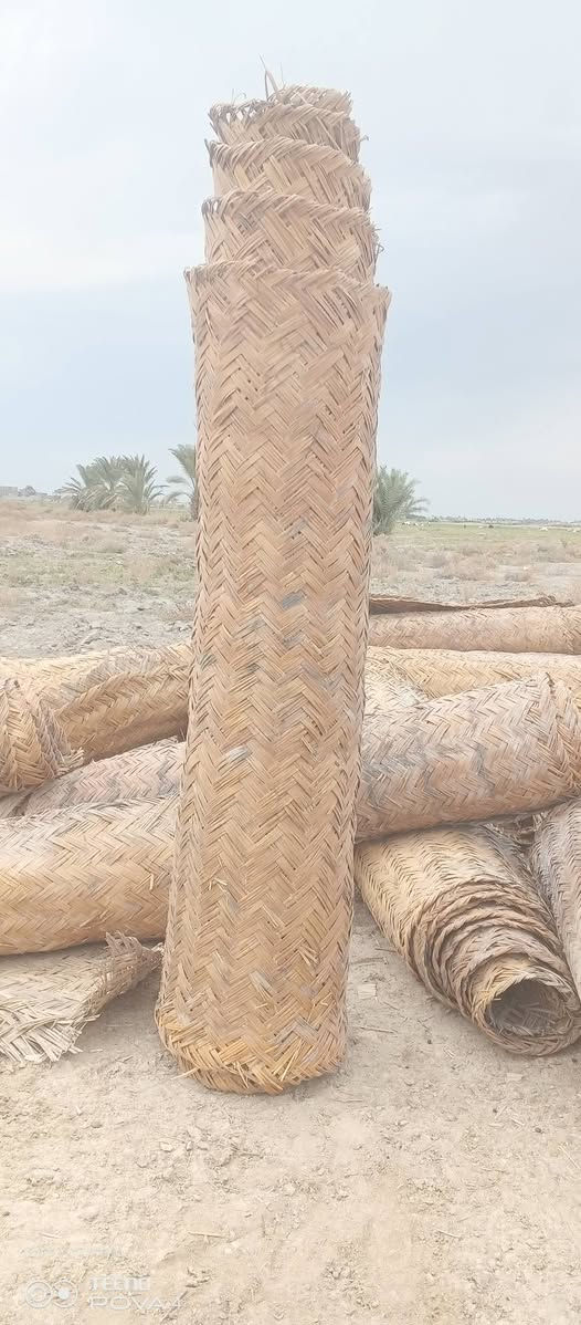 سلام عليكم باريات قصب عدد ٦٠ طول ٦ وعرض مترين سعر لباريه ١٥ وذا تاخذهن شلع بيهن مجال مكان وركاء 
***********
