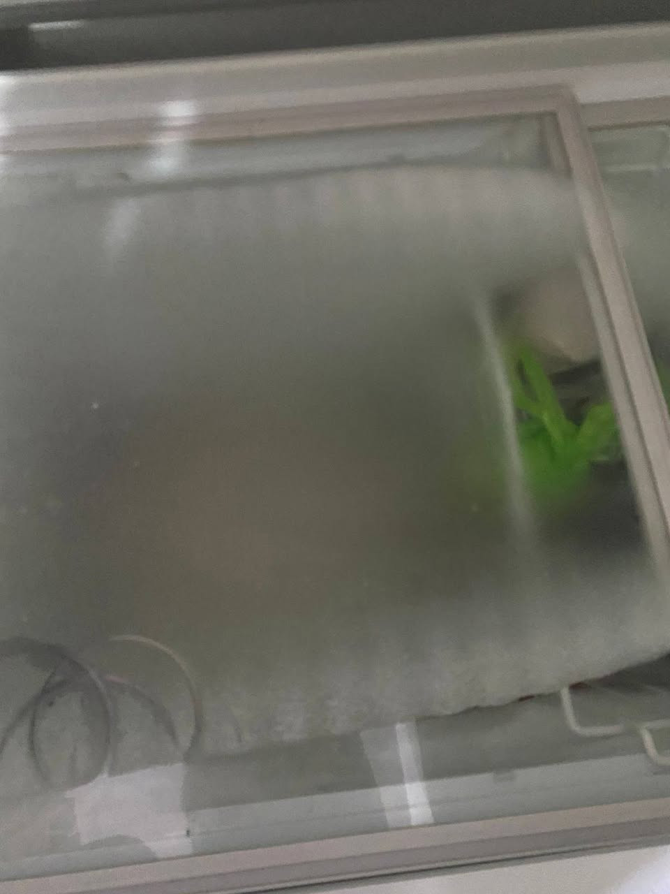 غراض بيت جدد للبيع


**إذا كنت صاحب هذا الإعلان وتريد حذفه لأي سبب، رجاءا أرسل رسالة إلى الدعم الفني**