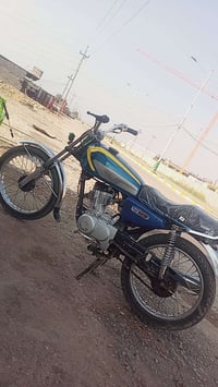 انتنس • مكفوله