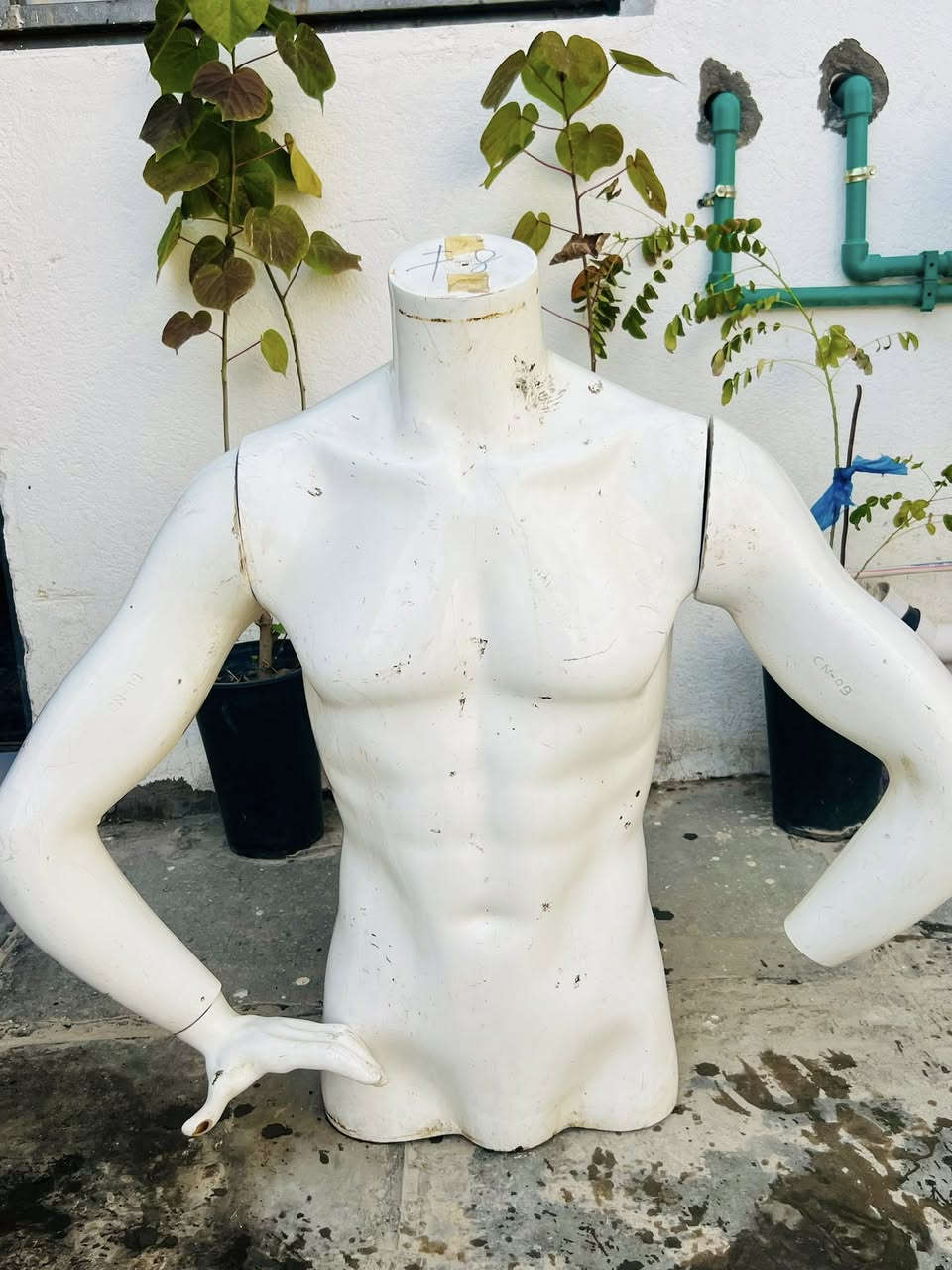 قيموهن واخذو فقط البردات ع ١٥برده سحب عرض متر ونص مستعمله قليل والبرده بوهيمي مكان ناصريه مركز


**إذا كنت صاحب هذا الإعلان وتريد حذفه لأي سبب، رجاءا أرسل رسالة إلى الدعم الفني**