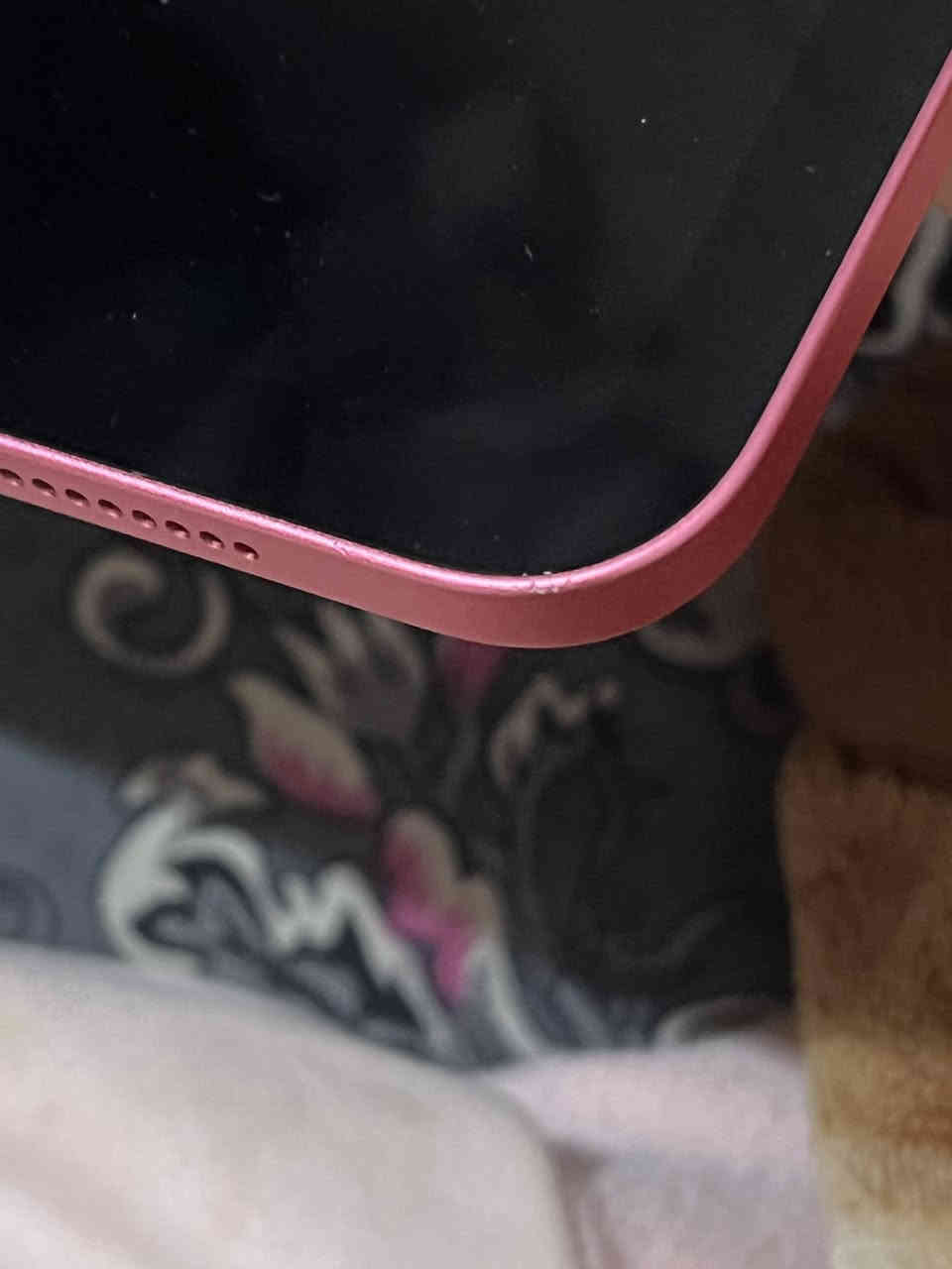 السلام عليكم ايباد 11 (a16)
بطاريه 98 
ويا كامل ملحقاته 
نفس الي ب الصور الايباد نضيف نسبه 90% 
الي عاجبه رايده ب 400 
مكاني واسط الكوت وموجود توصيل
واتساب ***********
