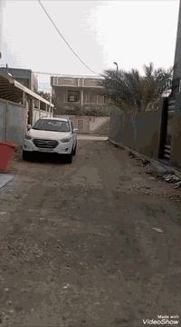 للبيع
بيت طابو زراعي سند ٢٥ تحويل مباشر 
المساحه ٢٢٥ متر بناء حديث طابوق جمهوري مثل ما مبين بل تصوير البيت جاهز عل اخير 
كافه الخدمات 
العنوان حله ورديه خارج قرب معمل ابو كيره شارع التبليط 
للاستفسار اكثر ومعرفه التفاصيل 
اتصال ***********
