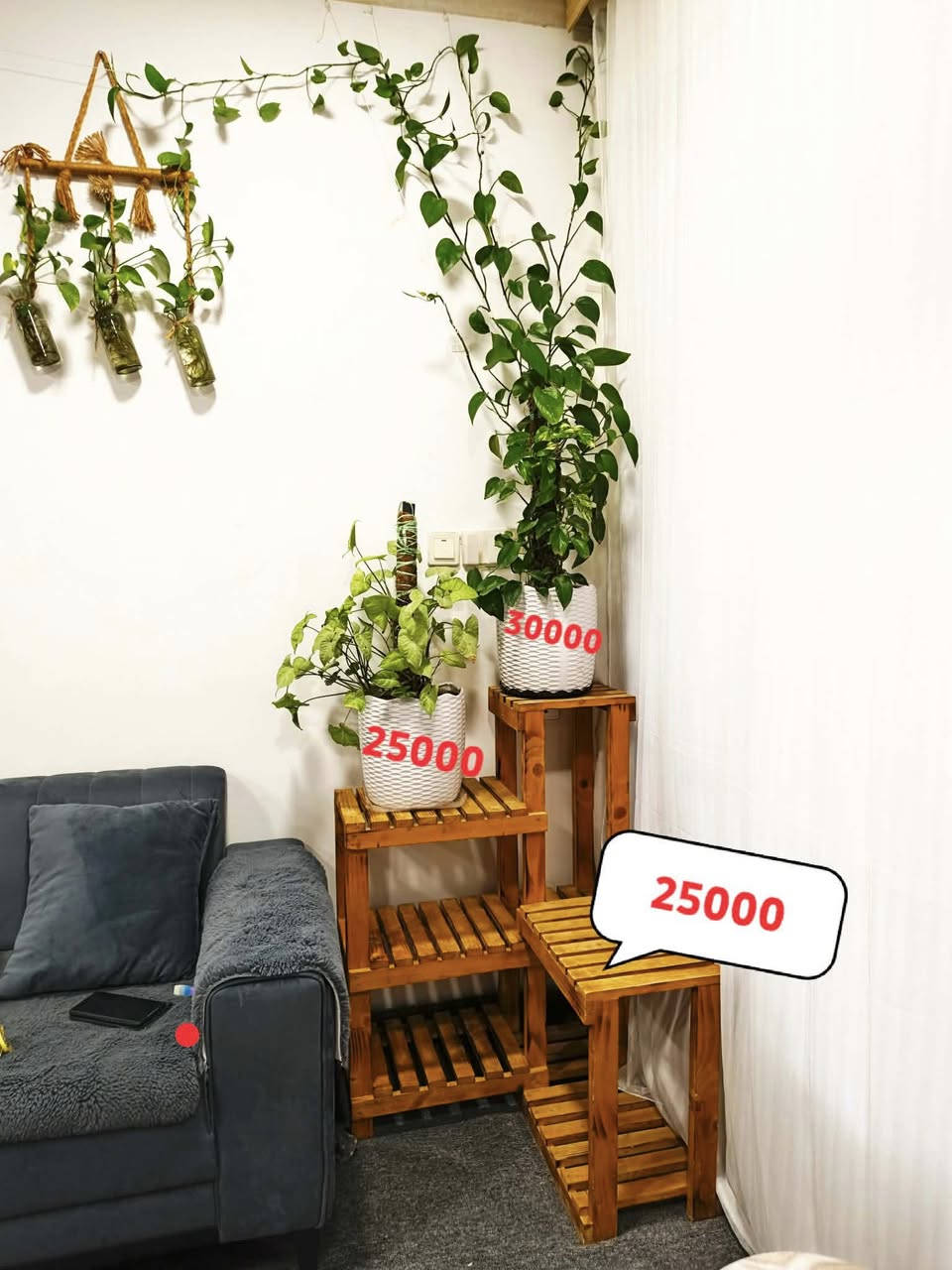 ئەم شتانە بۆ فرۆشتن زۆر تازە و کەم بەکار هاتوون
١- دوو گووڵ و ستاند ٤ بەش داری ئەسڵی دەستکردە نرخی هەمووی بەیەکەوە ٨٠ هەزارە.
٢-تەپڵەک تازە و کەم بەکاهاتوو نرخی ٢٠ هەزارە.
٣-فەرشی ٧٠٠ شانەی ئیرانی قیاسی ١ بە ١٥٠ بەکارنەهاتووە لۆکە نرخی ٣٥ هەزارە 
شوێن سلیمانی 
***********
***********
